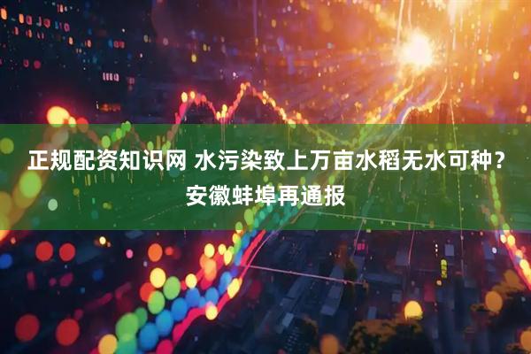 正规配资知识网 水污染致上万亩水稻无水可种？安徽蚌埠再通报